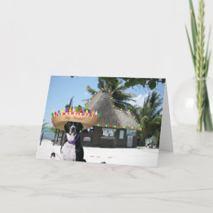 Chrysie Mexicaanse Kerstmis Feestdagen Kaart