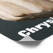 Chrysippus/Griekse filosoof Poster (Hoek)