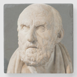 CHRYSIPPUS STONE MARBLE STATUE STENEN ONDERZETTER