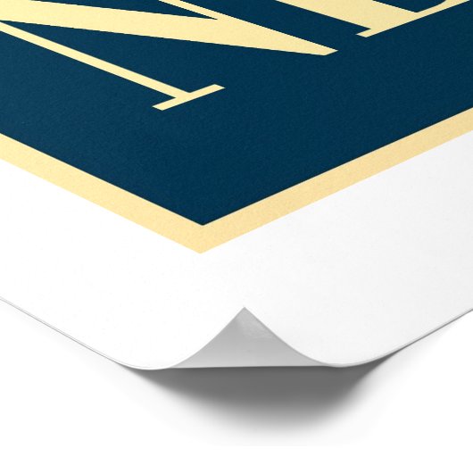 Chrysler Building in Red White Blue Poster (Hoek)