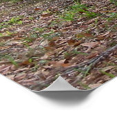 Chrysler PT Cruiser 2004 Limited Edition Car Poste Poster (Hoek)