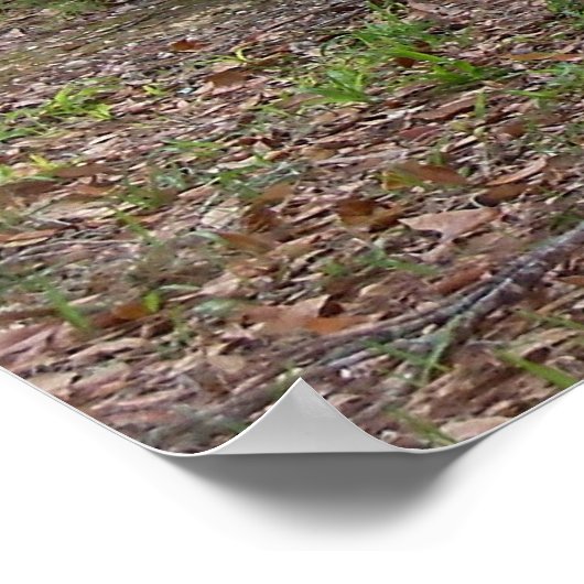 Chrysler PT Cruiser 2004 Limited Edition Car Poste Poster (Hoek)