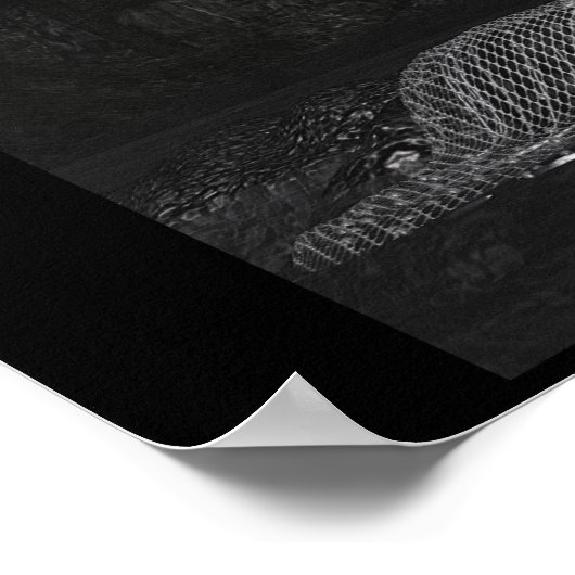 Chrystaline Poster (Hoek)