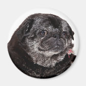 Chubbs De Wampug Magneet (Voorkant)