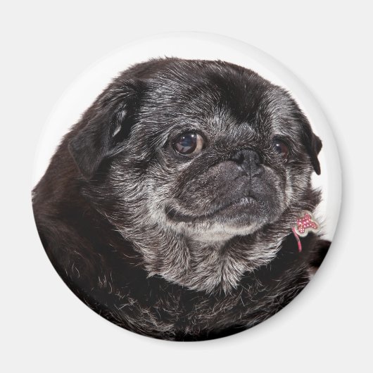 Chubbs De Wampug Magneet (Voorkant)