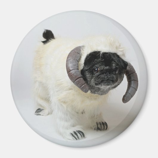 Chubbs De Wampug Magneet (Voorkant)