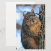 Chubby Briefpapier (Voorkant / Achterkant)