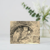 Chubby Bunny Challenge - Briefkaart (Staand voorkant)