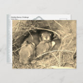 Chubby Bunny Challenge - Briefkaart (Voorkant / Achterkant)