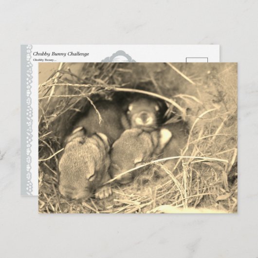 Chubby Bunny Challenge - Briefkaart (Voorkant / Achterkant)