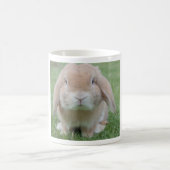 Chubby Bunny Classic White Mok (Center)