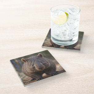 Chubby Charm: de Schattige Australische wombat Glazen Onderzetter