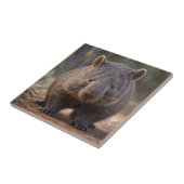 Chubby Charm: de Schattige Australische wombat Tegeltje (Zijkant)
