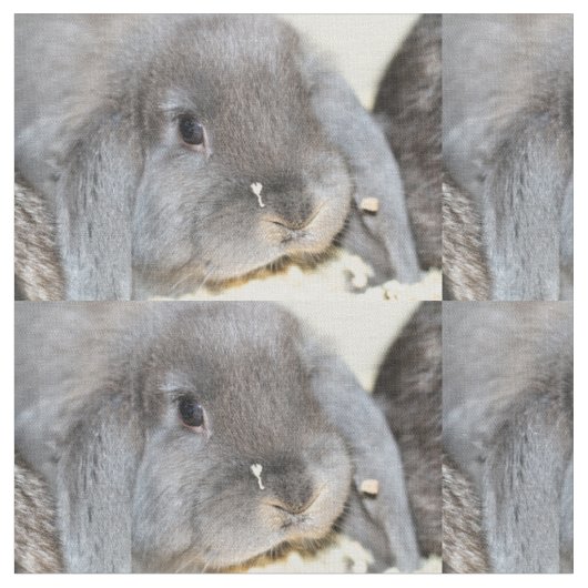 Chubby Cheeks Stof (Close Up)