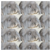 Chubby Cheeks Stof (Swatch)