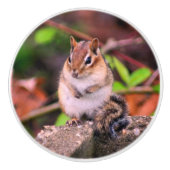 Chubby Chipmunk Wildlife Keramische Knop (Voorkant)