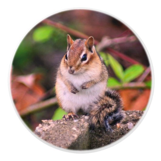 Chubby Chipmunk Wildlife Keramische Knop (Voorkant)