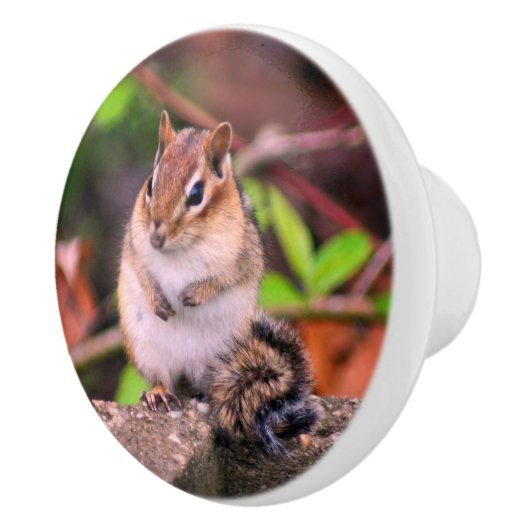 Chubby Chipmunk Wildlife Keramische Knop (Rechts)