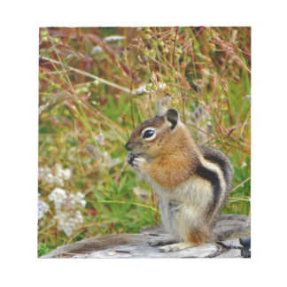 Chubby cute chipmunk on  on wood stump notitieblok