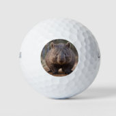 Chubby, de Australische wombat, Golfballen (Voorkant)