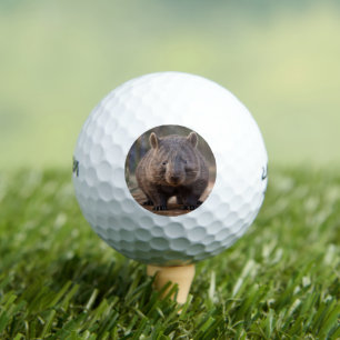 Chubby, de Australische wombat, Golfballen