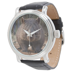 Chubby, de Australische wombat, Horloge