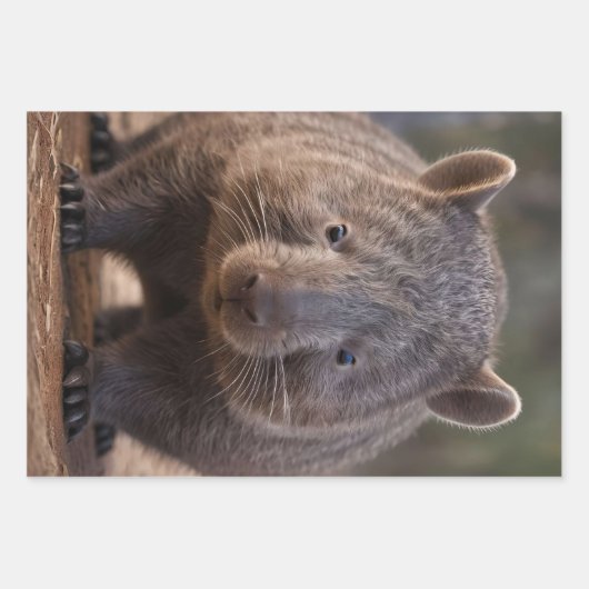 Chubby, de Australische wombat, Inpakpapier Vel (Voorkant 2)