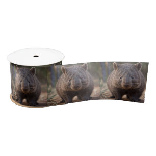 Chubby, de Australische wombat, Satijnen Lint