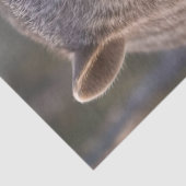 Chubby, de Australische wombat, Tissuepapier (Detail)