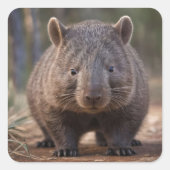 Chubby, de Australische wombat, Vierkante Sticker (Voorkant)