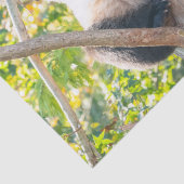 Chubby Giant Panda in een boomweefselpapier Tissuepapier (Detail)