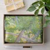 Chubby Giant Panda in een boomweefselpapier Tissuepapier (Geschenk)