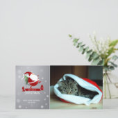 Chubby Santa on Blue Background Photo Card Feestdagenkaart (Staand voorkant)