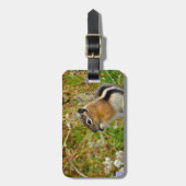 Chubby schattige chipmunk op houten stump bagagelabel (Voorkant verticaal)