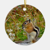 Chubby schattige chipmunk op houten stump keramisch ornament (Voorkant)