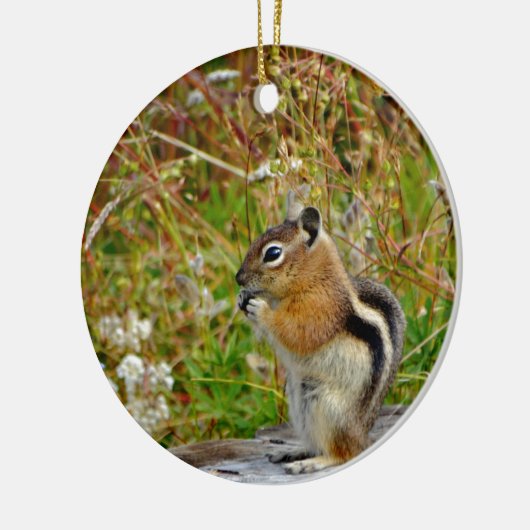 Chubby schattige chipmunk op houten stump keramisch ornament (Links)