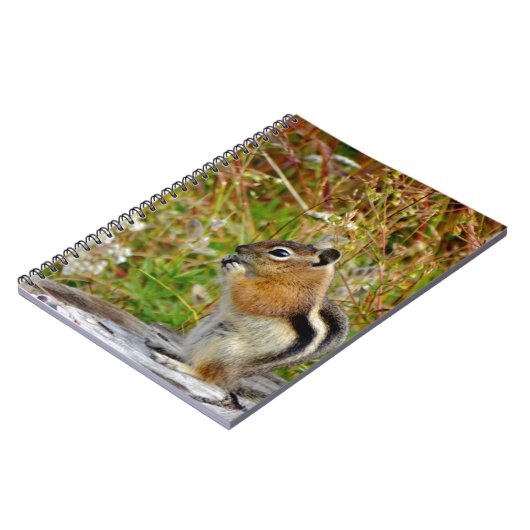 Chubby schattige chipmunk op houten stump notitieboek (Linkerzijde)