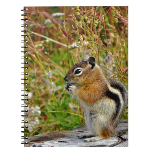 Chubby schattige chipmunk op houten stump notitieboek (Voorkant)