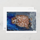 Chubby-uil met diepe blauwe achtergrond briefkaart (Voorkant / Achterkant)