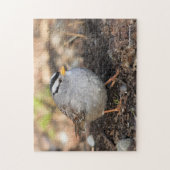 Chubby White-Crowned Sparrow in the Winter Sun Legpuzzel (Verticaal)