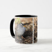 Chubby White-Crowned Sparrow in the Winter Sun Mok (Voorkant links)