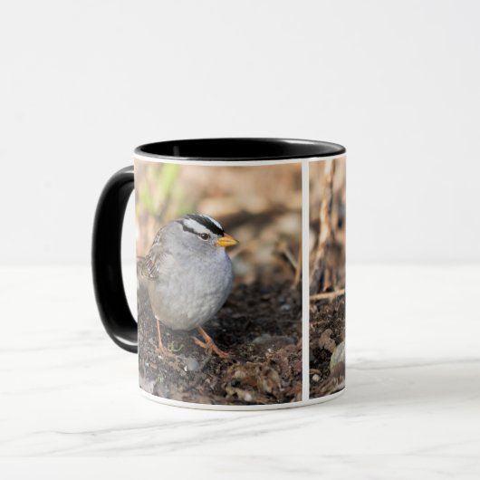 Chubby White-Crowned Sparrow in the Winter Sun Mok (Voorkant links)