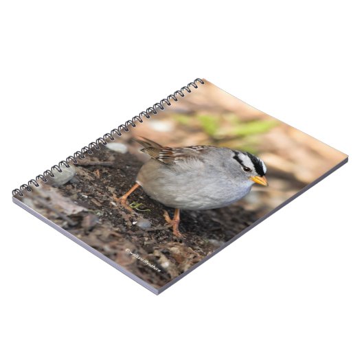 Chubby White-Crowned Sparrow in the Winter Sun Notitieboek (Linkerzijde)