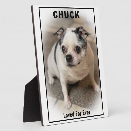 Chuck Fotoplaat (Zijkant)