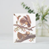 Chuck Will's Weduwe Nightjar Briefkaart (Staand voorkant)