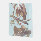 Chuck Will's weduwe Nightjar met Coral Snake Glas Ornament (Voorkant links)