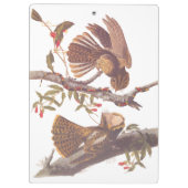 Chuck Will's weduwe Nightjar met Coral Snake Klembord (Achterkant)