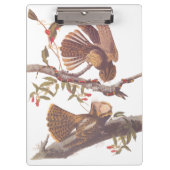 Chuck Will's weduwe Nightjar met Coral Snake Klembord (Voorkant)