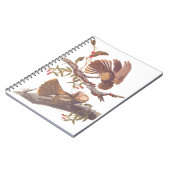 Chuck Will's weduwe Nightjar met Coral Snake Notitieboek (Linkerzijde)