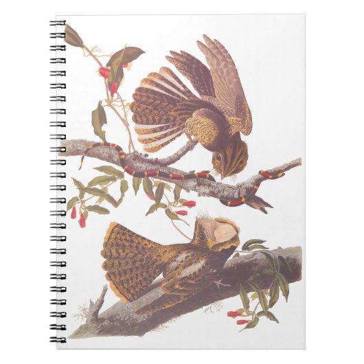 Chuck Will's weduwe Nightjar met Coral Snake Notitieboek (Voorkant)